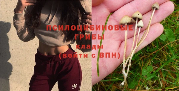 скорость Абинск