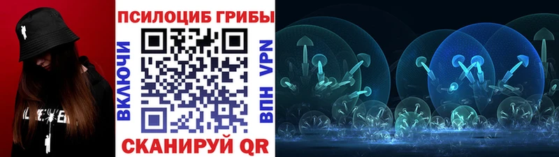 Псилоцибиновые грибы ЛСД  blacksprut онион  Богородск  купить  